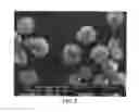 Fig. 05 - Functionalized polymer particles for use as toughening agent