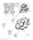 Fig. 02 - Method for inhibiting structure II gas hydrate formation