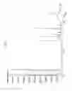 Fig. 07 - Method for rapid maturation of distilled spirits using light and heat processes