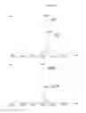 Fig. 06 - Methods and compositions for making antibodies and antibody derivatives with reduced core fucosylation