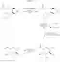 Fig. 13 - Methods and compositions for making antibodies and antibody derivatives with reduced core fucosylation