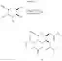 Fig. 16 - Methods and compositions for making antibodies and antibody derivatives with reduced core fucosylation
