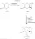 Fig. 23 - Methods and compositions for making antibodies and antibody derivatives with reduced core fucosylation