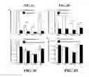 Fig. 04 - Extracellular matrix derived from stem cells and methods for production