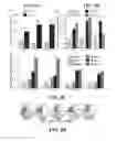 Fig. 05 - Extracellular matrix derived from stem cells and methods for production