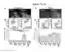 Fig. 07 - Extracellular matrix derived from stem cells and methods for production