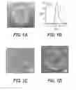 Fig. 02 - Standardized ex vivo platforms for the antigen-specific expansion of CD4+ T cell populations