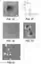 Fig. 03 - Standardized ex vivo platforms for the antigen-specific expansion of CD4+ T cell populations