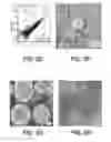 Fig. 14 - Standardized ex vivo platforms for the antigen-specific expansion of CD4+ T cell populations
