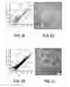 Fig. 15 - Standardized ex vivo platforms for the antigen-specific expansion of CD4+ T cell populations