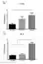 Fig. 06 - Composition comprising ischemic serum for promoting activation of stem cell and method for promoting activation of stem cell