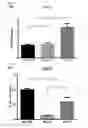 Fig. 07 - Composition comprising ischemic serum for promoting activation of stem cell and method for promoting activation of stem cell
