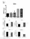 Fig. 15 - Composition comprising ischemic serum for promoting activation of stem cell and method for promoting activation of stem cell