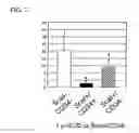 Fig. 08 - METHOD FOR PRODUCING INDUCED PLURIPOTENT STEM CELLS, CARDIOMYOCYTES OR PRECURSOR CELLS THEREOF