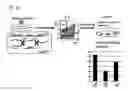 Fig. 22 - METHOD FOR PRODUCING INDUCED PLURIPOTENT STEM CELLS, CARDIOMYOCYTES OR PRECURSOR CELLS THEREOF