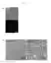 Fig. 02 - REPROGRAMMED STEM CELL