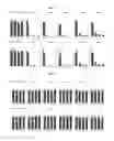 Fig. 04 - Method for production of botulinum toxin