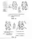 Fig. 02 - Spatially inhomogenously functionalized porous media and method for use in selective removal of contaminants