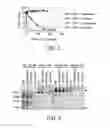 Fig. 06 - Spatially inhomogenously functionalized porous media and method for use in selective removal of contaminants