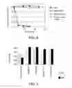 Fig. 08 - Spatially inhomogenously functionalized porous media and method for use in selective removal of contaminants