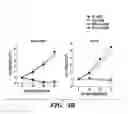 Fig. 09 - Methods and compositions for the production of siRNAs