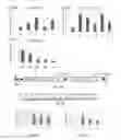 Fig. 02 - Methods and Constructs for Conferring Enhanced Abiotic Stress Resistance in Plants