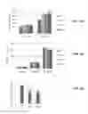 Fig. 04 - Methods and Constructs for Conferring Enhanced Abiotic Stress Resistance in Plants
