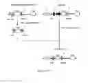 Fig. 09 - Expression vector