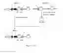 Fig. 13 - Expression vector