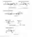Fig. 26 - Expression vector