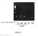 Fig. 06 - Method for production of reprogrammed cell using chromosomally unintegrated virus vector