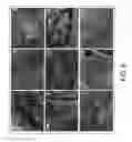 Fig. 09 - Method for production of reprogrammed cell using chromosomally unintegrated virus vector