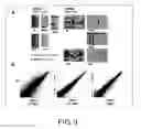Fig. 10 - Method for production of reprogrammed cell using chromosomally unintegrated virus vector