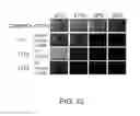 Fig. 13 - Method for production of reprogrammed cell using chromosomally unintegrated virus vector