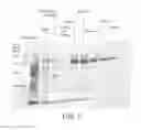 Fig. 06 - ENZYMES AND METHODS FOR STYRENE SYNTHESIS