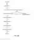 Fig. 04 - Pentose fermentation by a recombinant microorganism