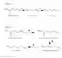 Fig. 06 - Biosynthetic pathways and methods