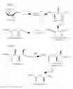 Fig. 08 - Biosynthetic pathways and methods
