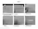 Fig. 18 - Rapid antibiotic susceptibility testing system based on bacterial immobilization using gelling agent, antibiotic diffusion and tracking of single bacterial cells