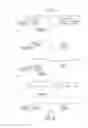 Fig. 15 - Isothermal Methods and Related Compositions for Preparing Nucleic Acids