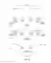 Fig. 20 - Isothermal Methods and Related Compositions for Preparing Nucleic Acids