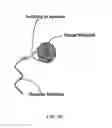 Fig. 24 - Methods for creating bilayers for use with nanopore sensors