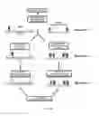 Fig. 02 - Single cell analysis of T cells using high-throughput multiplex amplification and deep sequencing