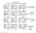 Fig. 07 - Expression protein-coding and noncoding genes as prognostic classifiers in early stage lung cancer