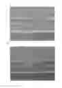 Fig. 08 - Metal nitride material for thermistor, method for producing same, and film type thermistor sensor