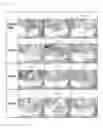 Fig. 07 - MULTILAYER THIN FILM FOR CUTTING TOOL AND CUTTING TOOL INCLUDING THE SAME