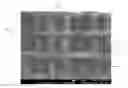 Fig. 01 - TRANSPARENT TEXTILE WITH SELF-ADHESIVE PROPERTIES