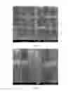 Fig. 02 - TRANSPARENT TEXTILE WITH SELF-ADHESIVE PROPERTIES