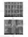 Fig. 03 - TRANSPARENT TEXTILE WITH SELF-ADHESIVE PROPERTIES