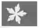 Fig. 01 - Method of photocatalytic white discharge printing for achieving patterns on textiles